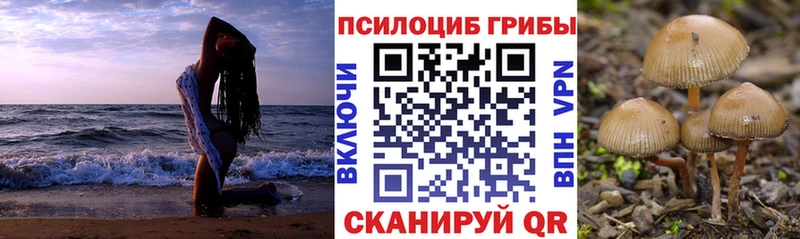 Галлюциногенные грибы Psilocybe  Электроугли 